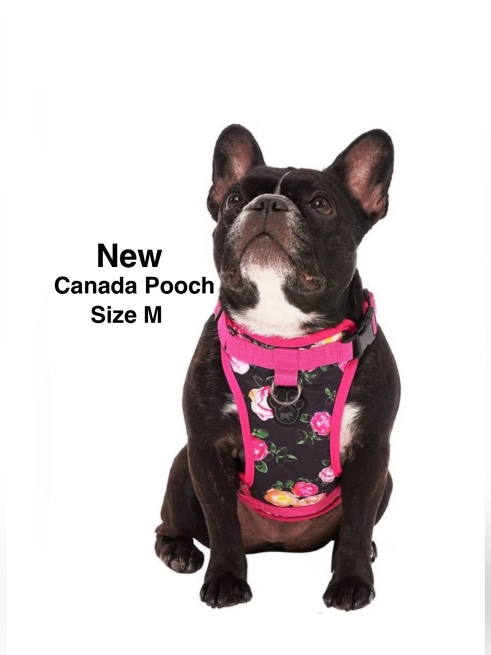 New Canada Pooch The Everything Harness Water-Resistant Medium w/tags Floral⭐️